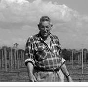 Blue Gables Vineyard