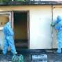 All About Asbestos - Professional Asbestos Removal