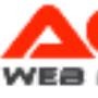 Web Designer