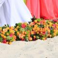 Beach-Wedding