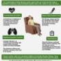 Uploaded by visitor on 27/4/2016 - Feel Extra Comfort and Stay Healthy with Medical Recliner Chairs