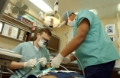 Easy Tricks To Pick A Dentist For Teeth Implant Surgery