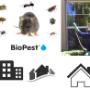 Pest Control Adelaide