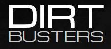 DIRT BUSTERS CAR DETAILING