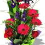 Uploaded by visitor on 13/5/2016 - Alluring makes a suitable gift solution for almost every occasion, you just can't lose with this choice