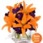 Uploaded by visitor on 13/5/2016 - This delightful bouquet combines a sunny mix of bright orange Asiatic Lilies and Lush purple Iris flowers and makes an ideal gift to put a happy smile on any face.