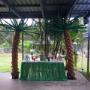 Uploaded by visitor on 13/5/2016 - Balloon Palm trees for a tropical party