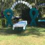 Uploaded by visitor on 13/5/2016 - Ovarian Cancer Balloon Arch