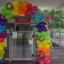 Uploaded by visitor on 13/5/2016 - Rainbow Balloon Arch for a Kindy Open day