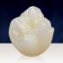 Dentistry Plus