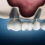 Dentistry Plus