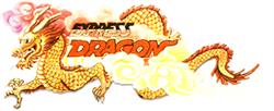 Express Dragon Traditional Chinese Restaurant