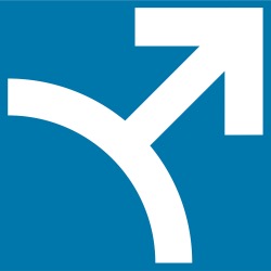 Andropenis