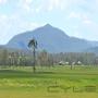 Uploaded by visitor on 2/6/2016