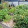 Uploaded by visitor on 4/6/2016 - http://www.villagelifestylepark.com.au/