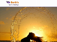 Barb's Psychic Readings's website