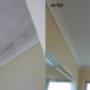 Mould Removal Adelaide