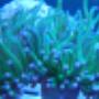 Aquarium Supplies Australia