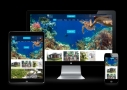 Accommodation Resort Website