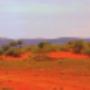 Uploaded by visitor on 13/1/2017 - Pindan Tours - Lake Torrens sandunes