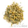 Uploaded by visitor on 21/10/2016 - Chamomile Tea