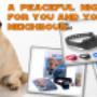eDog Australia