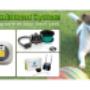 eDog Australia