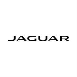 Jaguar Hobart