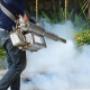 Pest Control Services