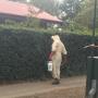 Rodent & Insect Control Services