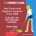 Carpet Cleaning Services
