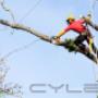 Uploaded by visitor on 17/8/2016 - Best Tree Removal Services Brisbane Southside by Treezy