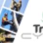 Uploaded by visitor on 17/8/2016 - Best Tree Services Brisbane Southside by Treezy