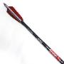 Carbon Arrows