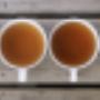 Collection of tea stories - Our Darjeeling teas