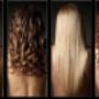 Hair Fashion Accessories