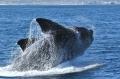 Plan Your Holidays In Hervey Bay !