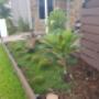 Oasis Irrigation & Landscaping NQ