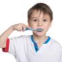 photo1_url1