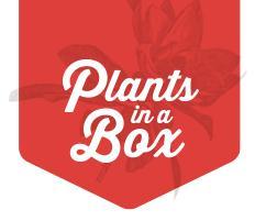 Plants in a Box