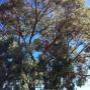 Uploaded by visitor on 2/9/2016