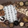 Traditional Chinese Medicine