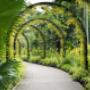 Landscape Construction Services