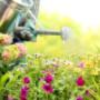 Landscape Garden Maintenance Services