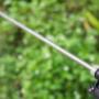 Eco Friendly Pest Control