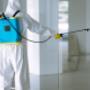 Pest Control Treatment