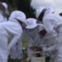 Beekeeping course field day