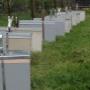 Beekeeping
