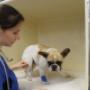 # 121