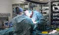 Services Regarding Veterinary Surgeries